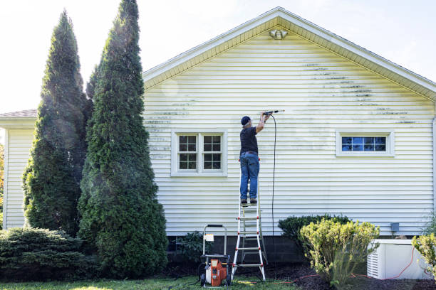 Best Best Pressure Washing Companies  in Acres Green, CO